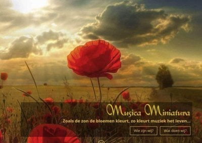 Website voor Musica Miniatura