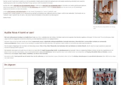 Website Audite Nova